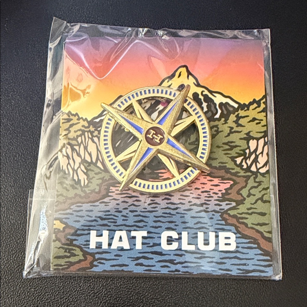 Gold and Blue Compass Pin